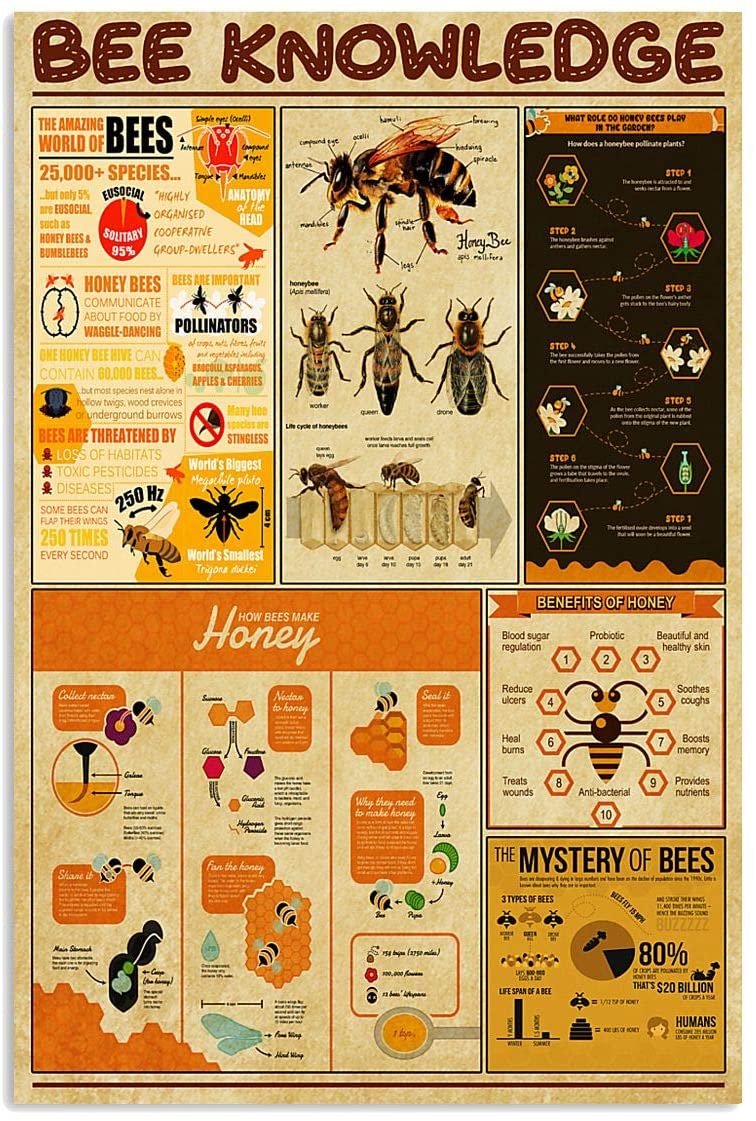 Printable Bee Decor Set of 5 Bee Hive Bumble Bees Honey 