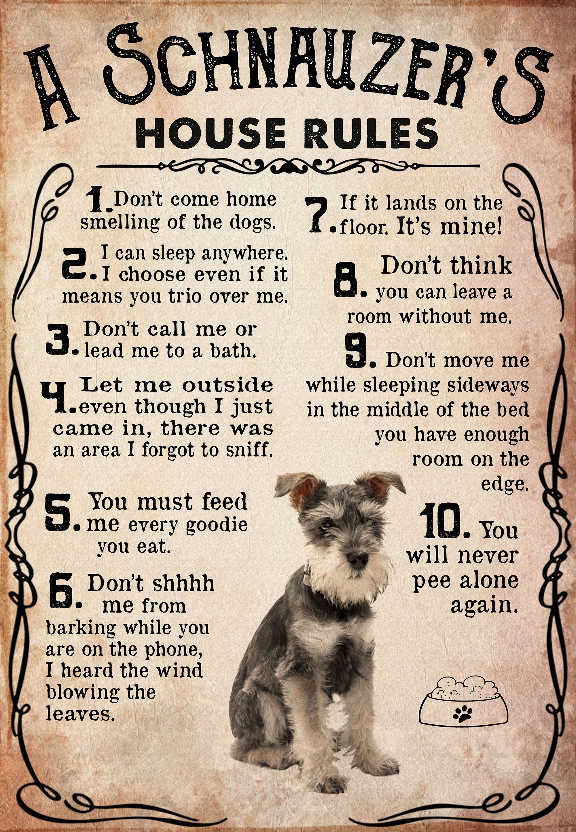 Schnauzer home cheap