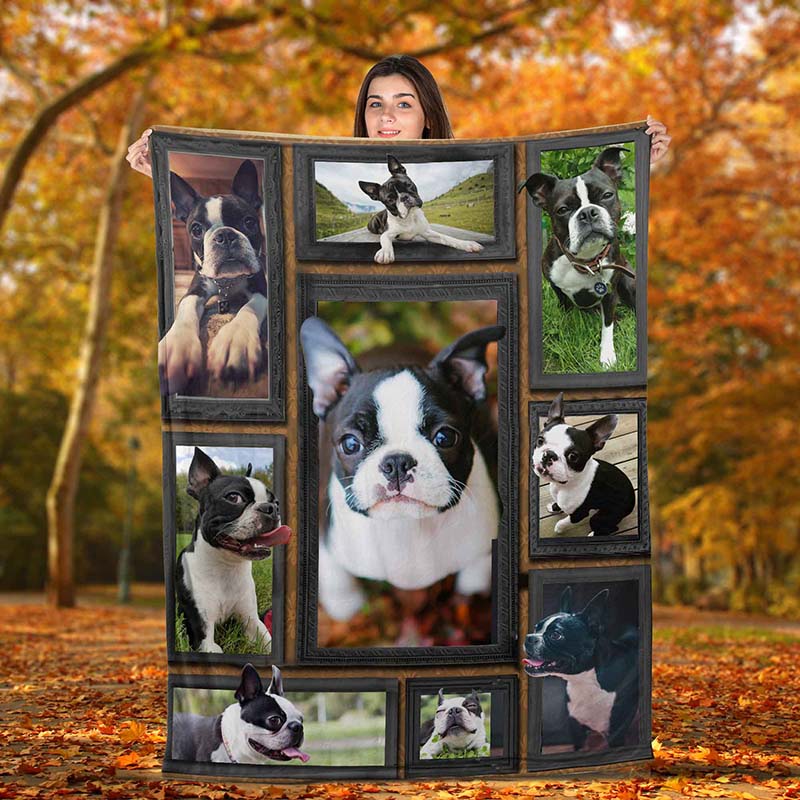 Boston terrier throw blanket discount