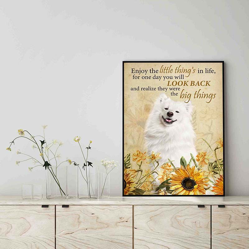 Little samoyed 2024
