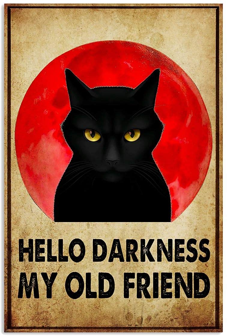 Hello darkness outlet cat shirt