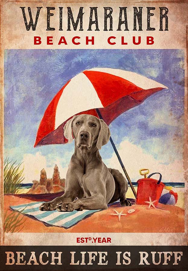 Vintage Beach Club Is Ruff Weimaraner MH1509