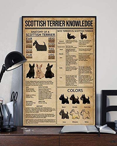 Scottish Terrier Knowledge