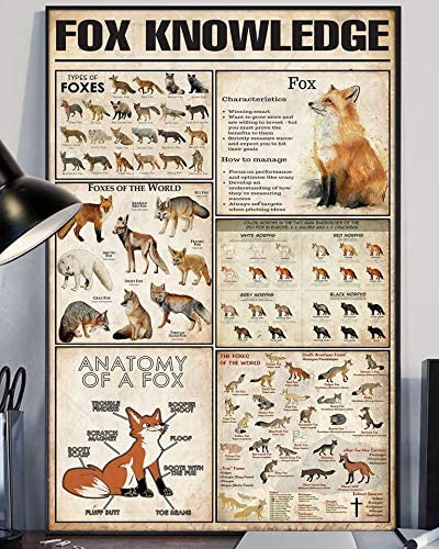 Fox Knowledge Anatomy Of A Fox 1208