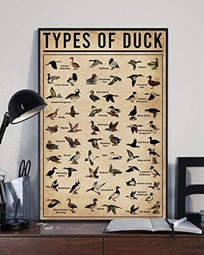 Types Of Duck Knowledge