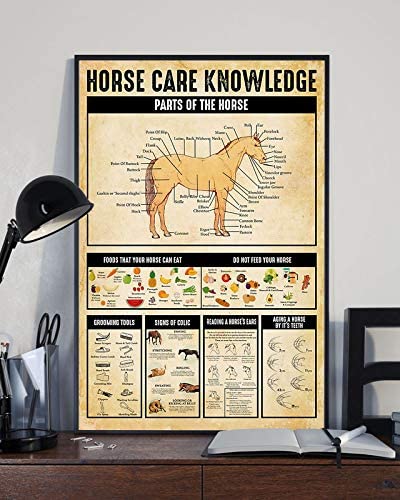 Horse Care Knowledge Parts Of The Horse Foods That Your Horse Can Eat Do Not Feed Your Horse 1208