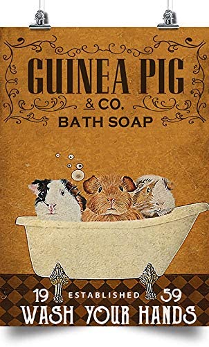 Guinea Pig Bath Soap Vertical Wash Your Hand Wall