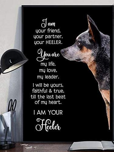 Heeler I Am Your Friend Your Partner Your Heeler You Are My Life Portrait