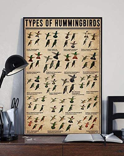 Types Of Hummingbirds Knowledge