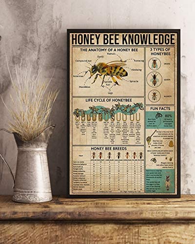 Honey Bee Knowledge The Anatomy Of A Honey Bee Life Cycle Of Honeybee 1208