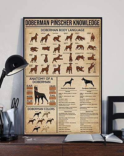 Doberman Dog Pinscher Knowledge Body Language Anatomy Colors