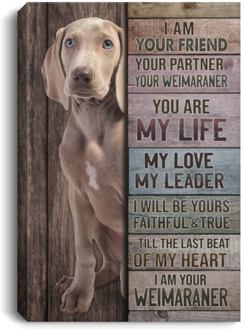 Meaningful Quote I Am Your Friend Your Partner Your Weimaraner