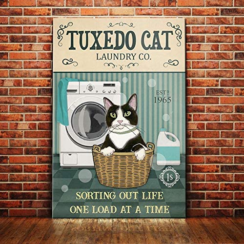 Tuxedo Cat Laundry Company