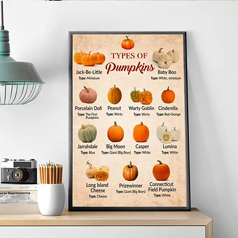 Types of Pumpkin, Pumpkin Knowledge, Pumpkin Pumpkin Chart, Harvest Autumn Decor