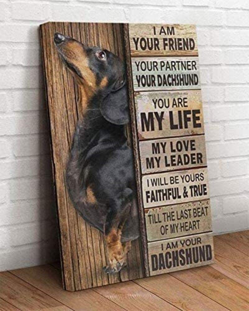 Dachshund I Am Your Friend Partner Your Are My Life My Love My Leader