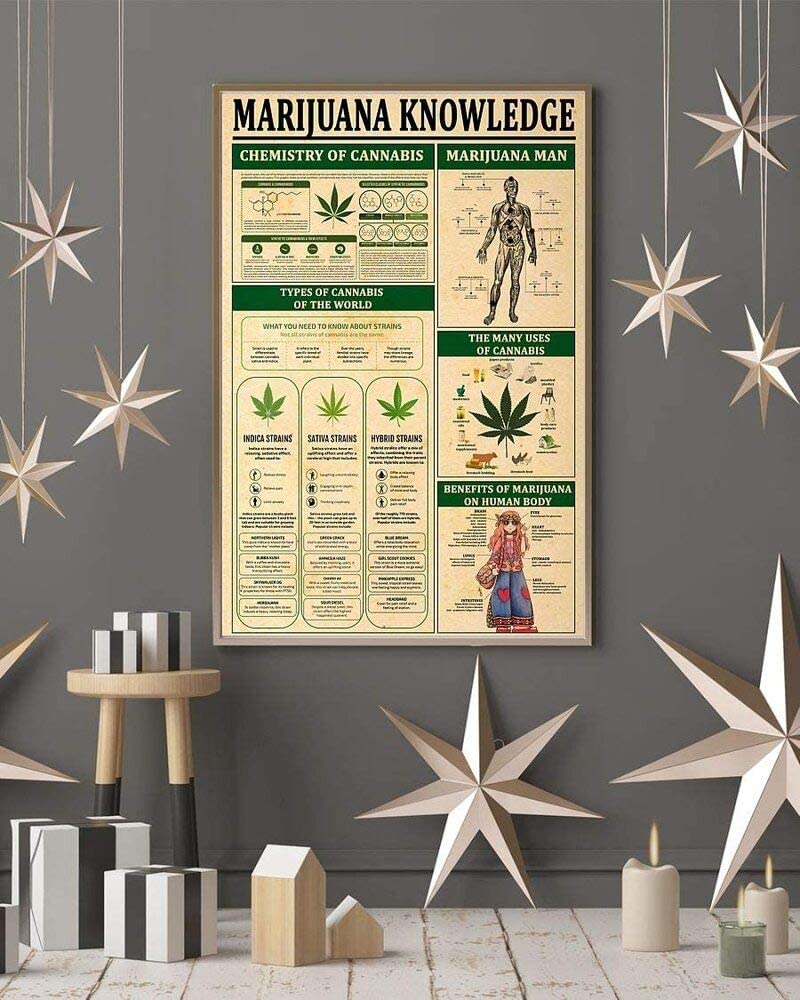 Marijuana Knowledge Chemistry Of Cannabis