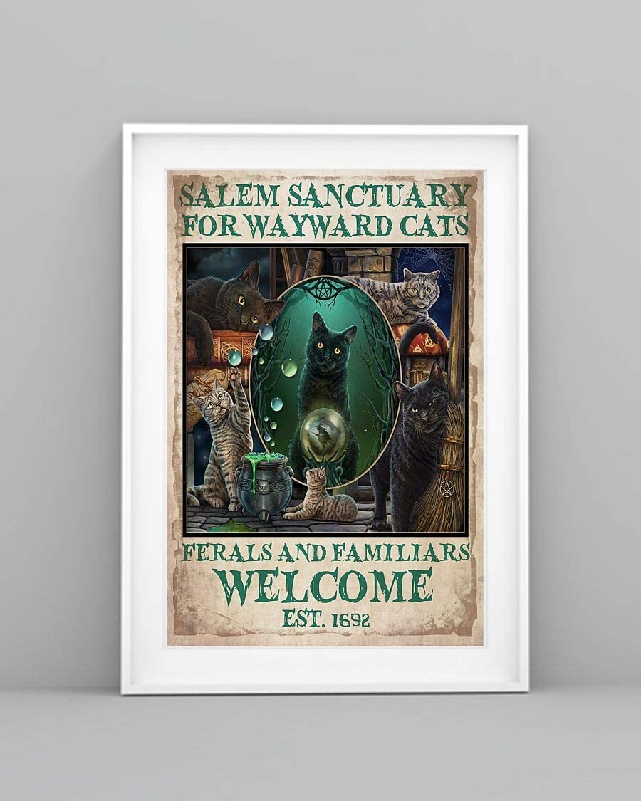 Salem Sanctuary For Wayward Cats Ferals And Familiars Welcome Witch Cats 1208