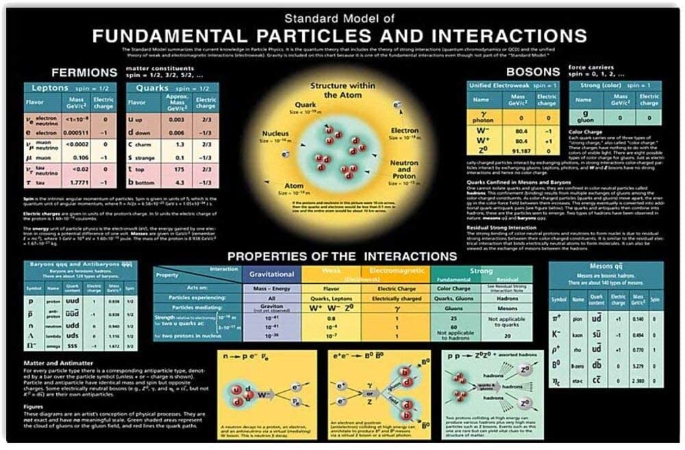 Scientist Standard Model Of Fundamental Particles And Interactions