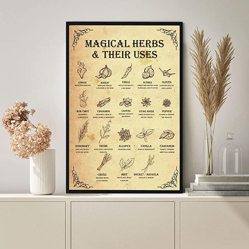 Magical Herbs and Their Use, Witches Witches Magic Knowledge Magic