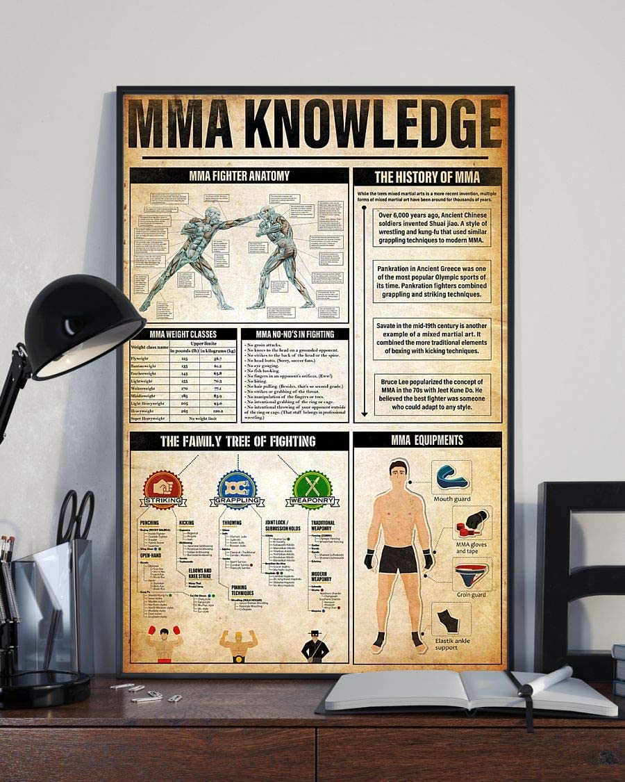Mma Knowledge Mma Fighter Anatomy 1208
