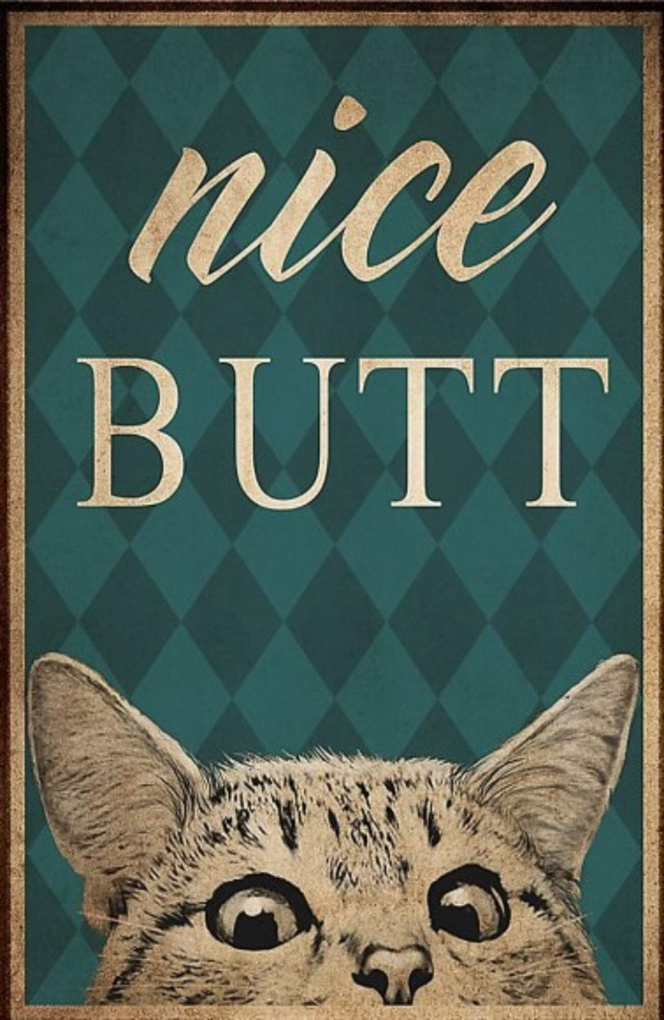 A Cat Nice Butt