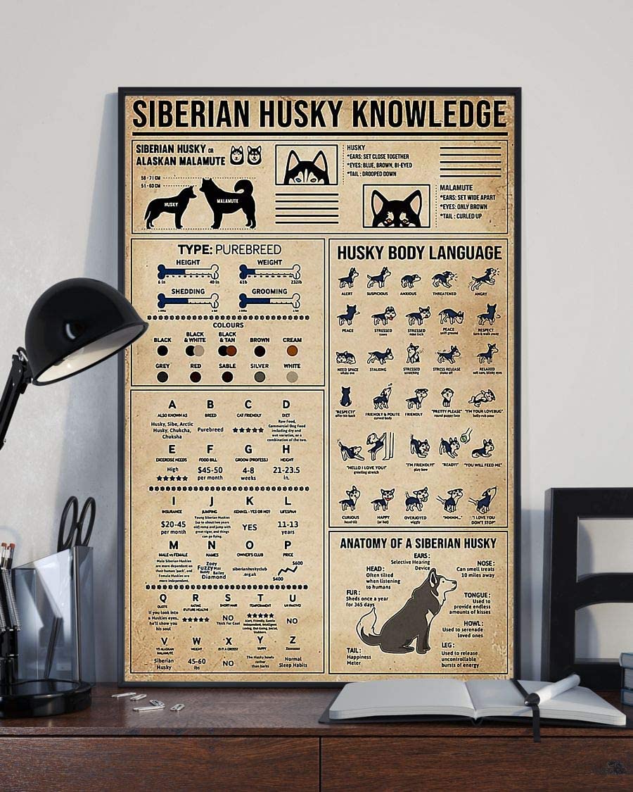 Siberian Husky Knowledge Anatomy Of A Siberian Husky 1208