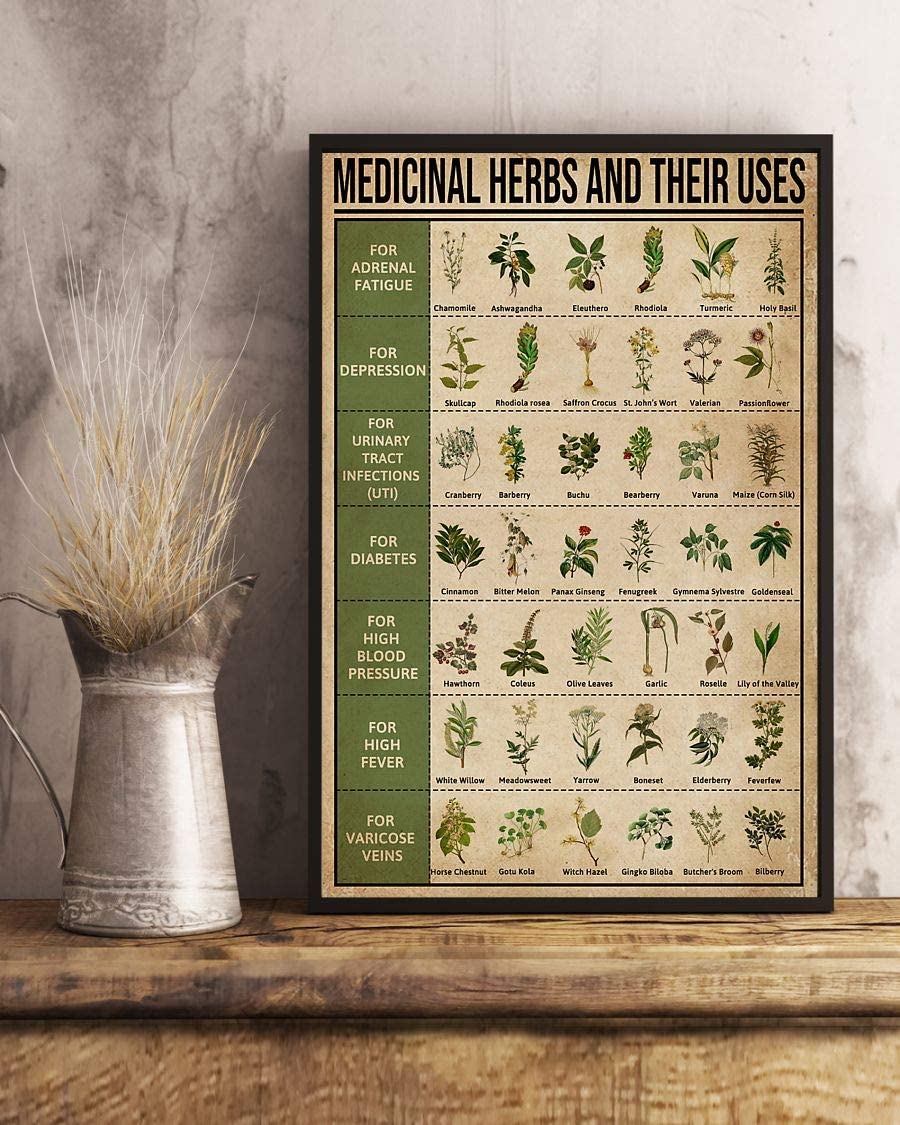 Medicinal Herbs And Their Uses 1208