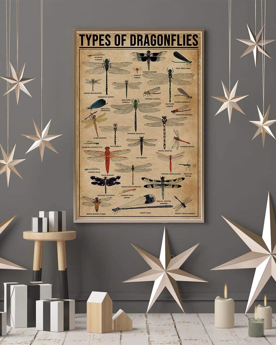 Types Of Dragonflies 1208