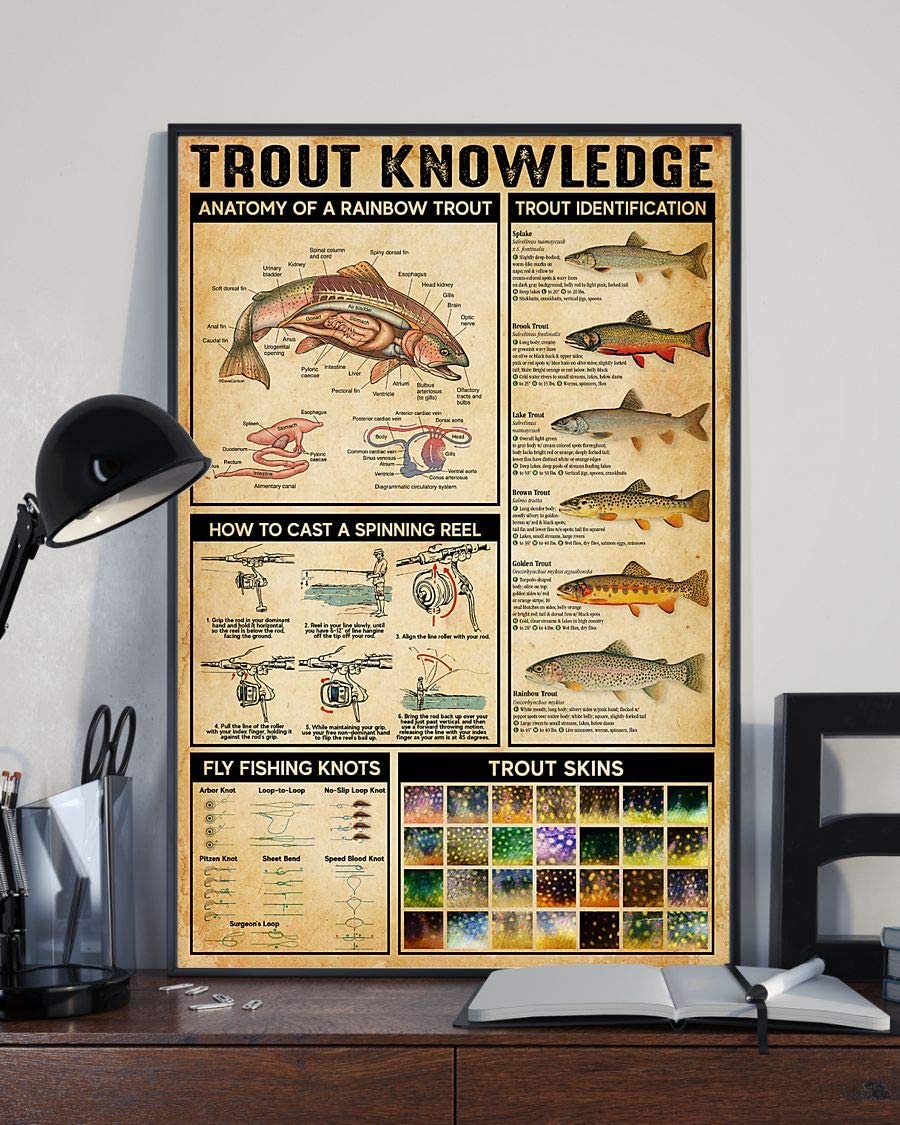 Trout Knowledge Anatomy Of A Rainbow Trout Trout Identification 1208