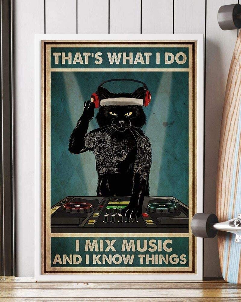 Cat Dj Thats What I Do I Mix Music And I Know Things