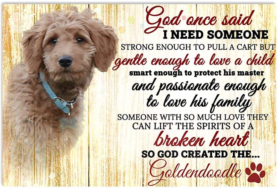 God One Said I Need Some One Goldendoodle Dog
