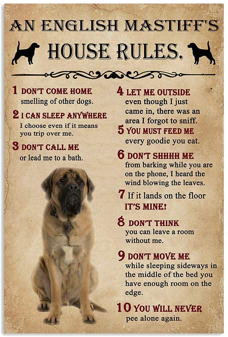 An English Mastiff'S House Rules For Lovers
