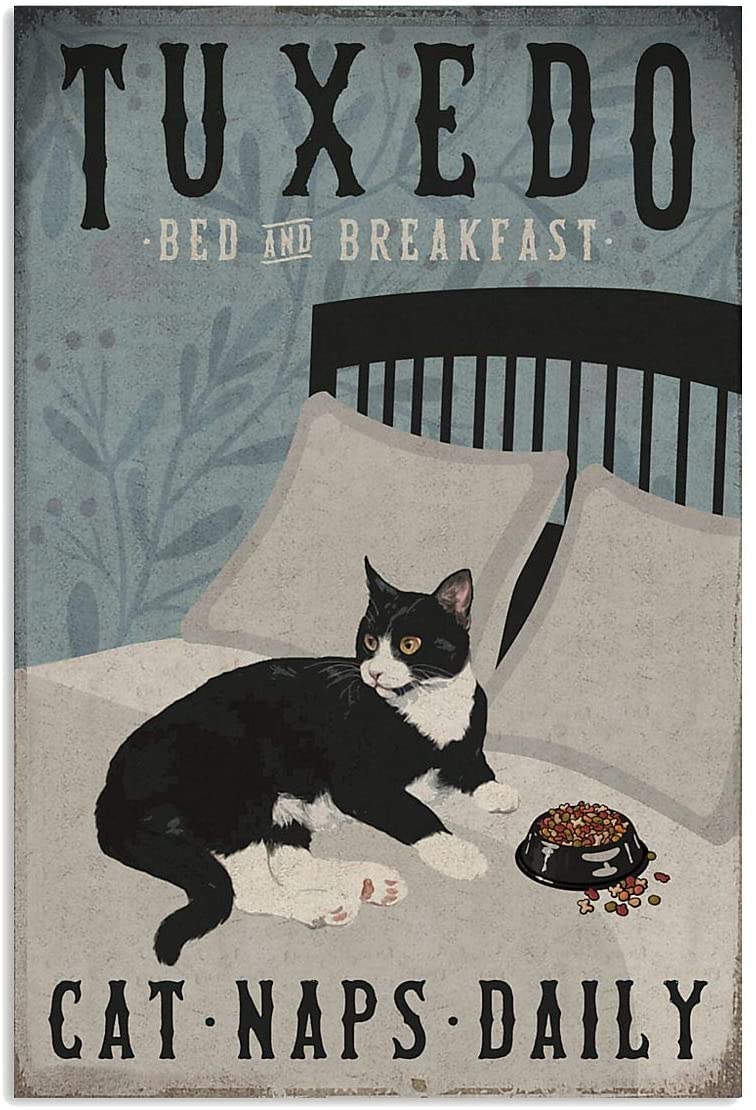 Tuxedo Cat Bed And Breakfast