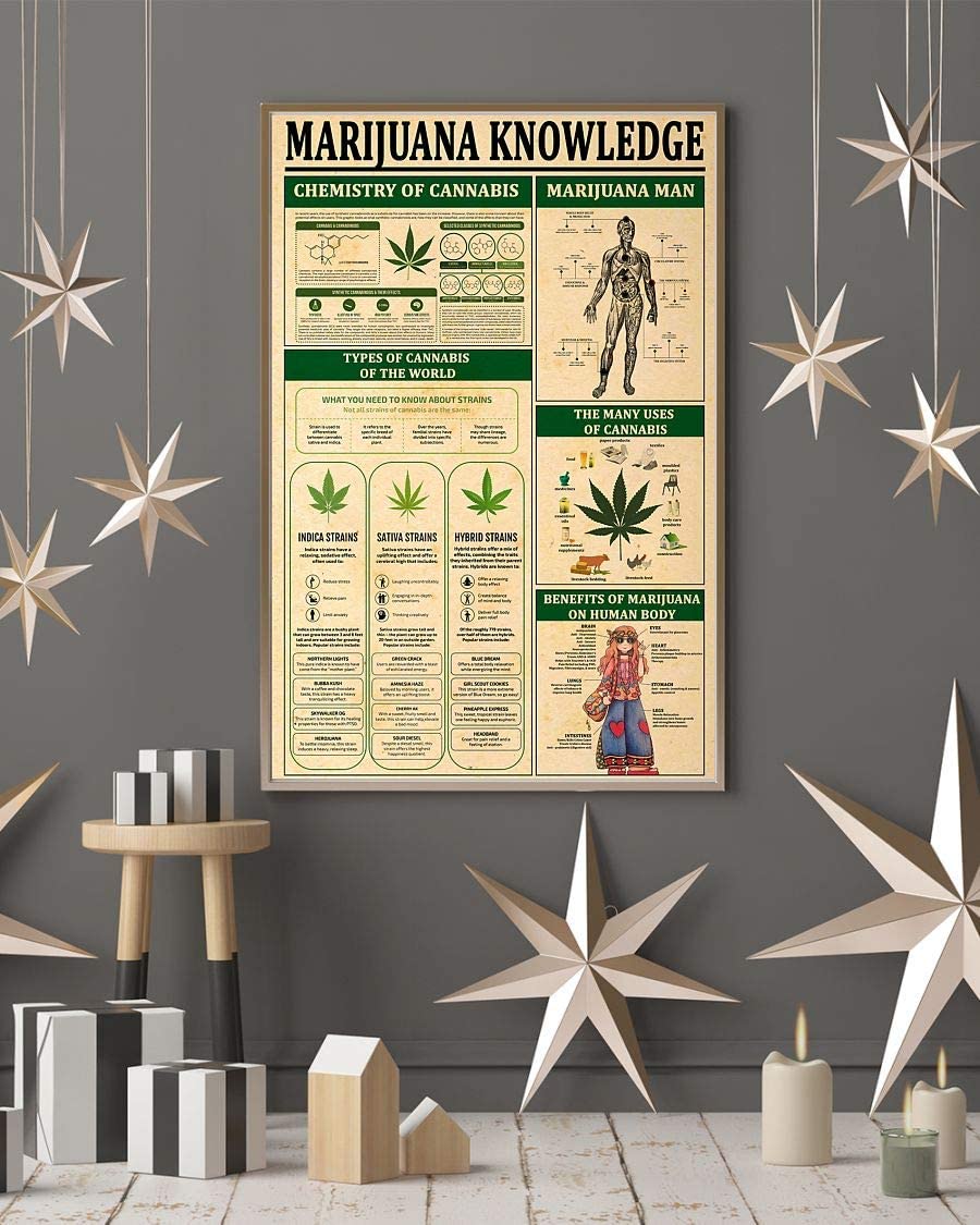 Marijuana Knowledge Chemistry Of Cannabis 1208