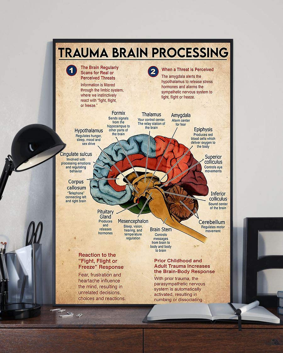 Trauma Brain Processing The Brain Regularly Scans For Real Or Perceived Threats 1208