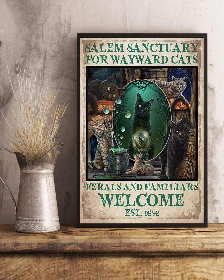 Salem Sanctuary For Wayward Cats Ferals And Familiars Welcome Witch Cats 1208
