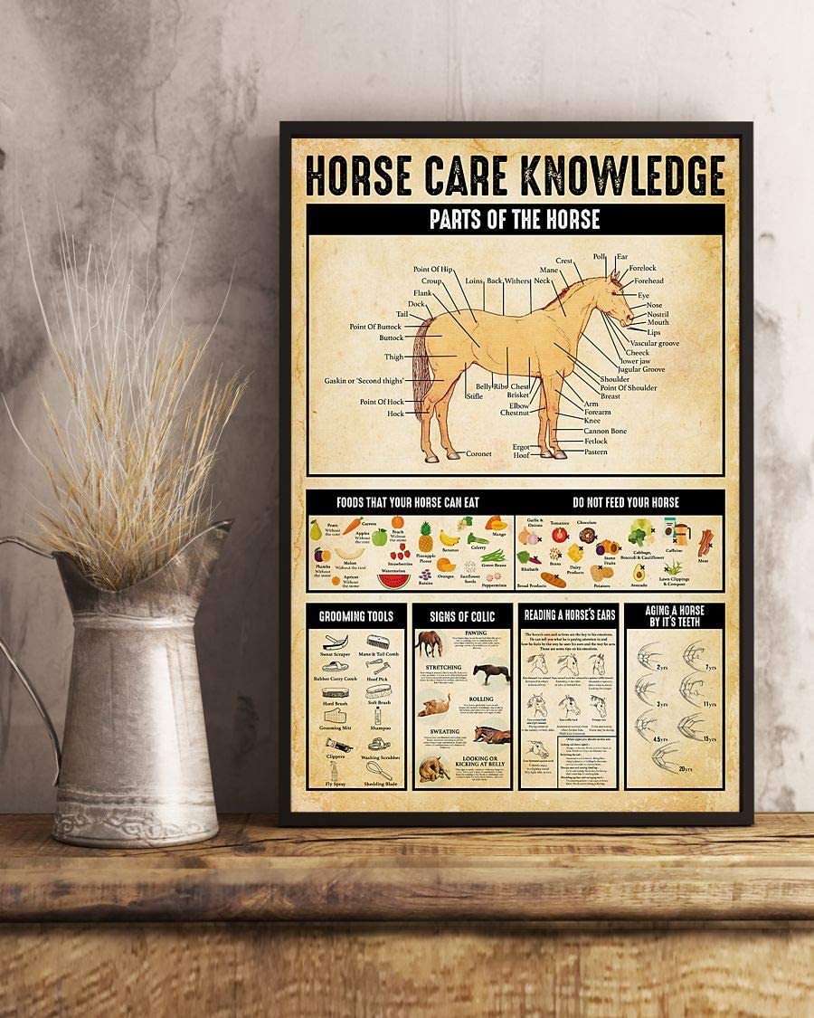 Horse Care Knowledge Parts Of The Horse Foods That Your Horse Can Eat Do Not Feed Your Horse 1208