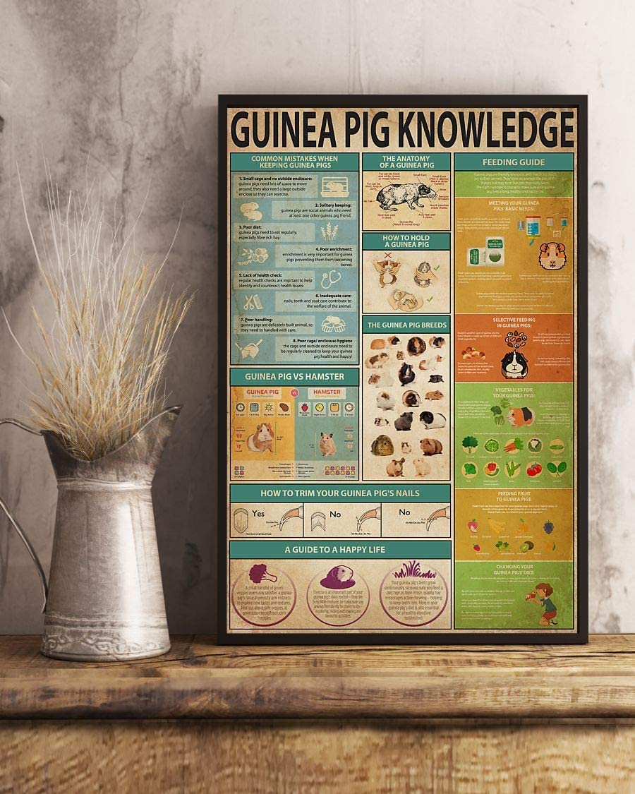 Guinea Pig Knowledge 1208