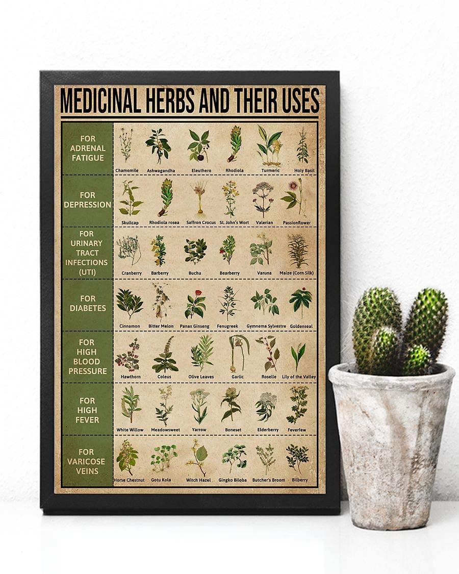 Medicinal Herbs And Their Uses 1208