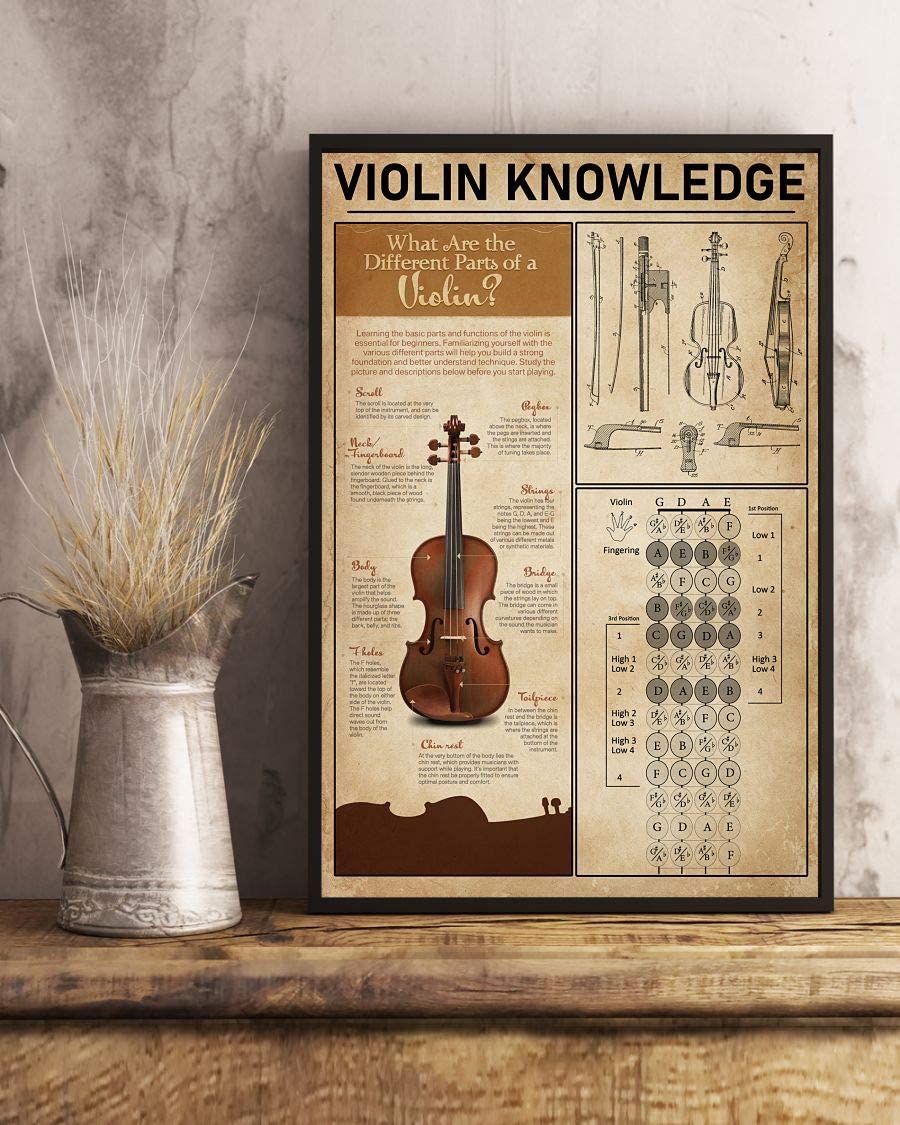 Violin Knowledge What Are The Different Parts Of A Violin 1208