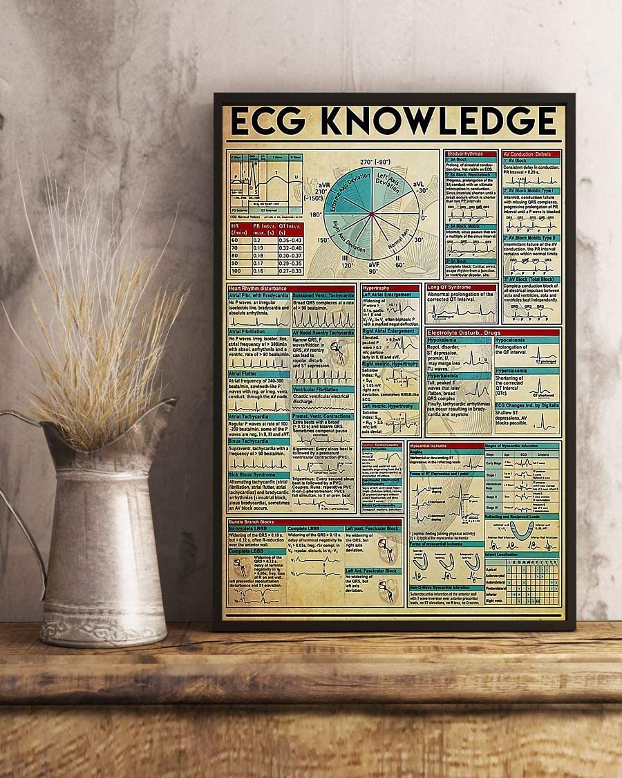 Ecg Knowledge 1208