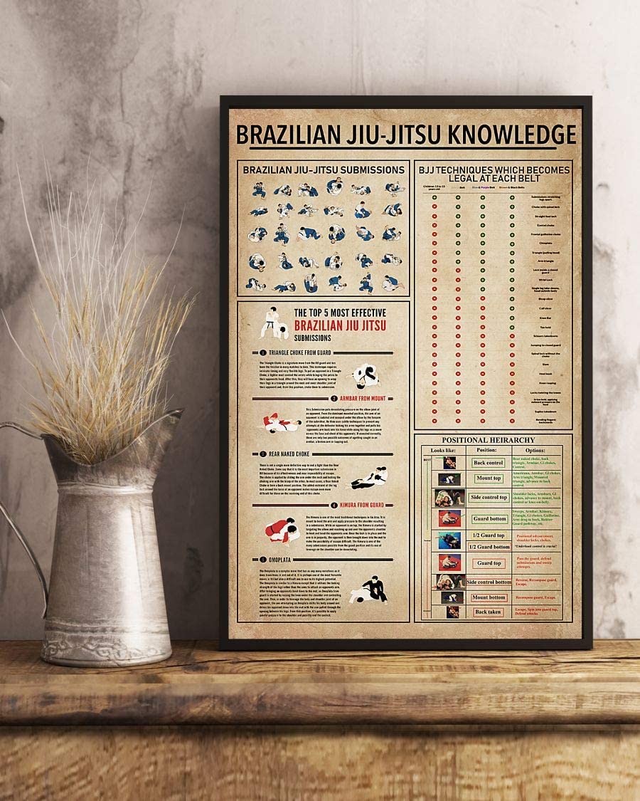 Brazilian Jiu Jitsu Knowledge 1208