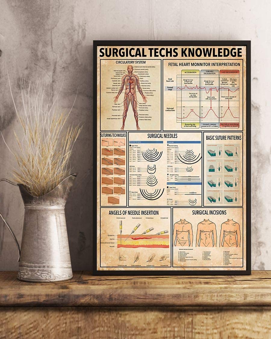 Surgical Techs Knowledge Circulatory System Fetal Heart Monnitor Interpretation 1208