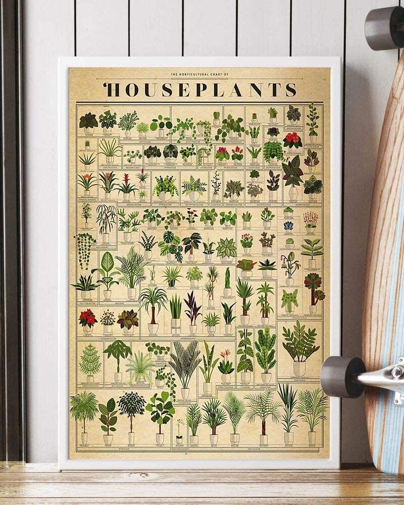 The Horticultural Chart Of Houseplants