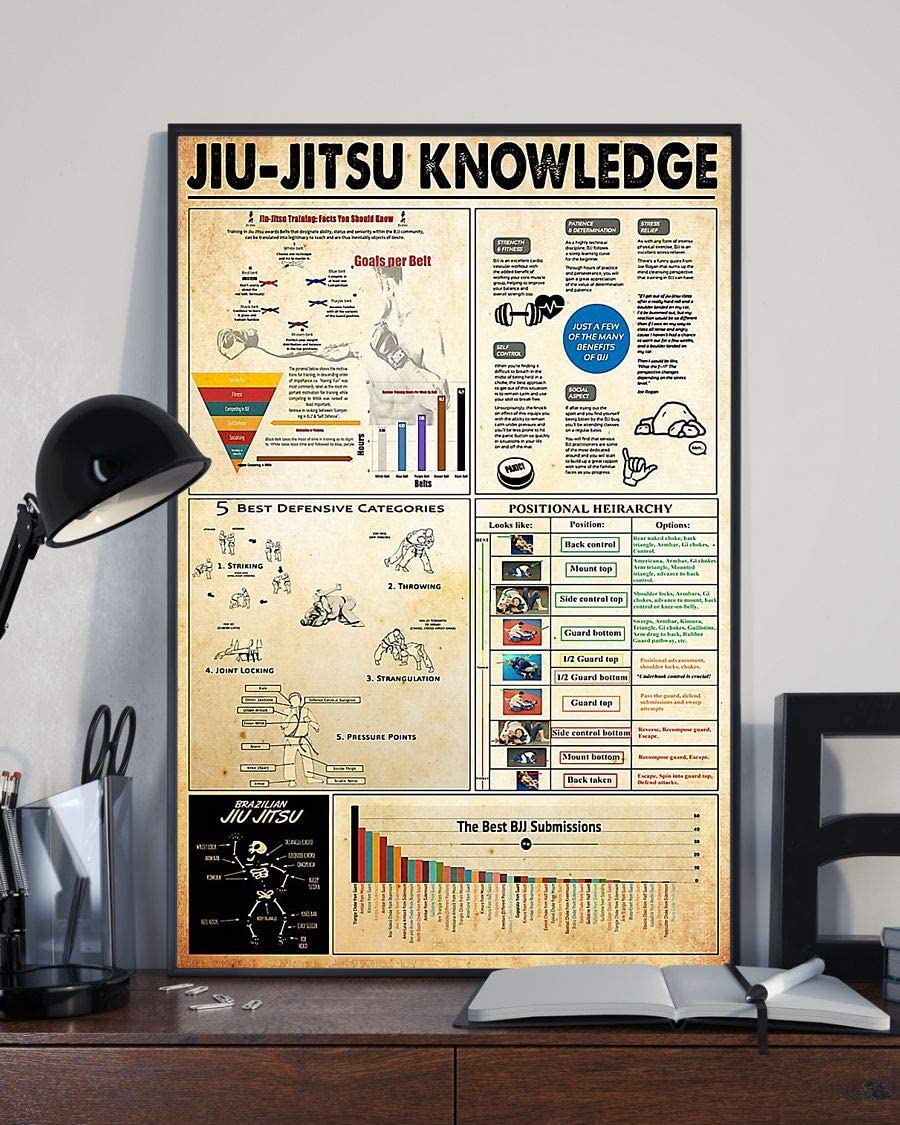 Jiu Jitsu Knowledge Positional Heirarchy 1208