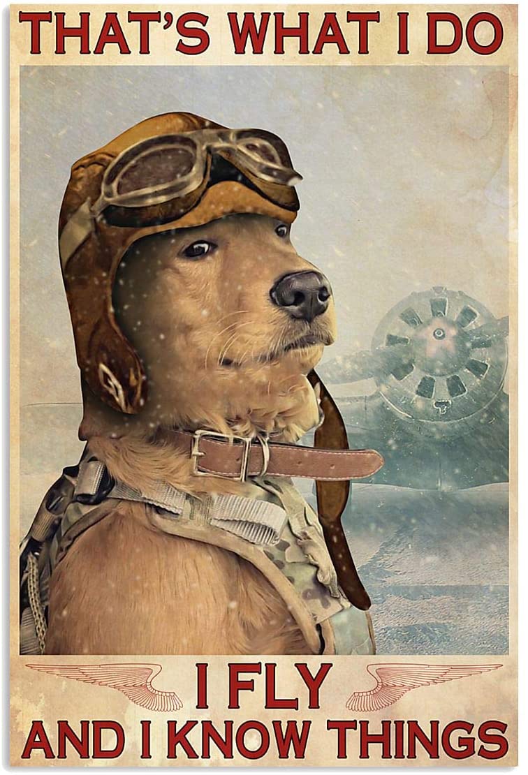 Golden Retriever Pilot Thats What I Do I Fly And Know Things Vertical