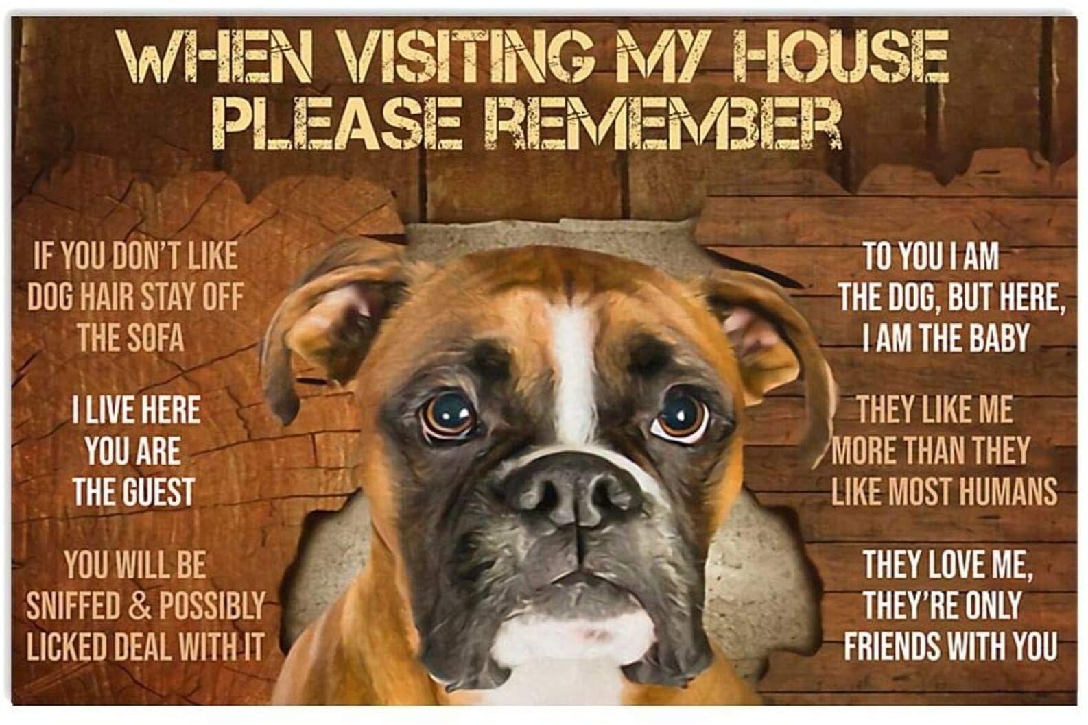 When Visiting My House Please Remember Boxer Dog