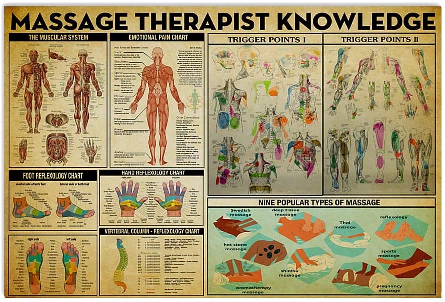 Massage Therapist Knowledge 1208