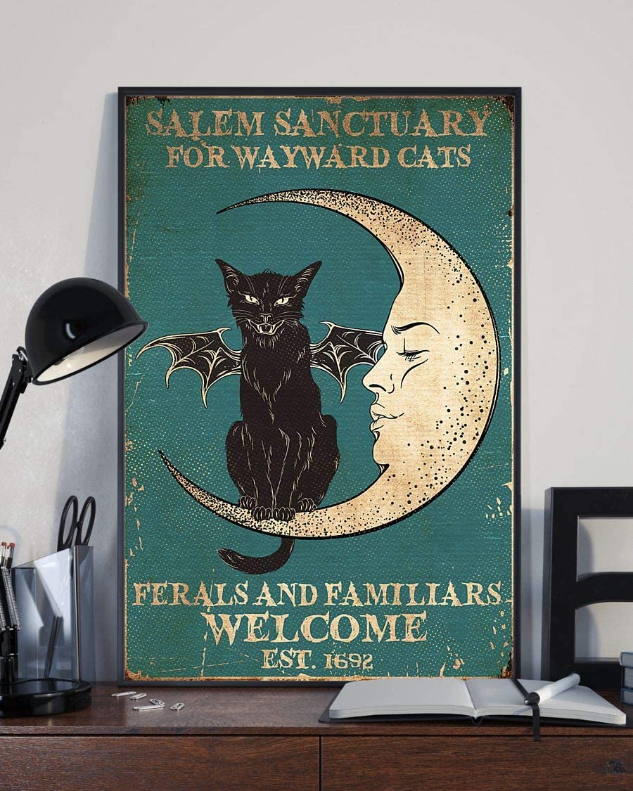 Salem Sanctuary For Wayward Cats Ferals And Familiars Welcome Black Witch Cat Moon 1208