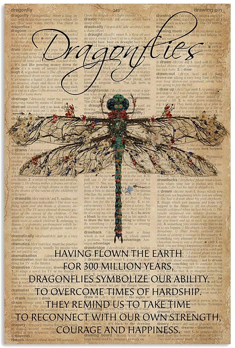 Dragonfly Meaning Dictionary
